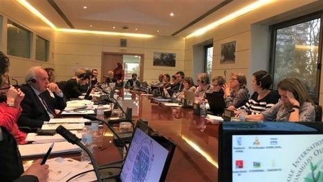 Grupo de trabajo sobre evaluación organoléptica | OLIVE NEWS | Scoop.it