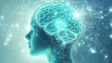 Cientistas rastrearam como o c&eacute;rebro produz o momento &lsquo;Eureka&rsquo;: o que isso diz sobre sua mem&oacute;ria? | Inova&ccedil;&atilde;o Educacional | Scoop.it