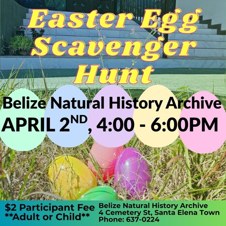 BNHA Easter Egg Scavenger Hunt | Cayo Scoop!  The Ecology of Cayo Culture | Scoop.it