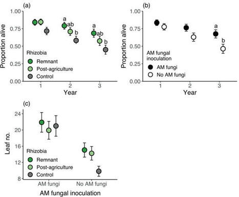 Legume life history interacts with land use degradation of rhizobia: Implications for restoration success | Plant-Microbe Symbiosis | Scoop.it