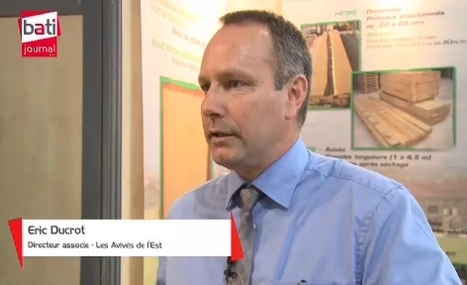 [vidéo] Les bienfaits du hêtre | Build Green, pour un habitat écologique | Scoop.it