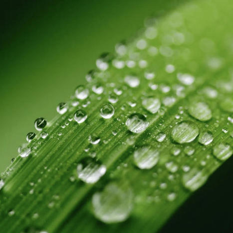 De l&rsquo;eau pour manger s&rsquo;il vous plait&nbsp;! | Local delivery for Gene Directed Enzyme Prodrug Therapy | Scoop.it