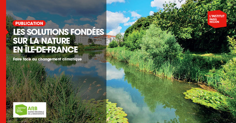 Les solutions fond&eacute;es sur la nature en &Icirc;le-de-France  - ARB | Urbanisme - Am&eacute;nagement | Scoop.it