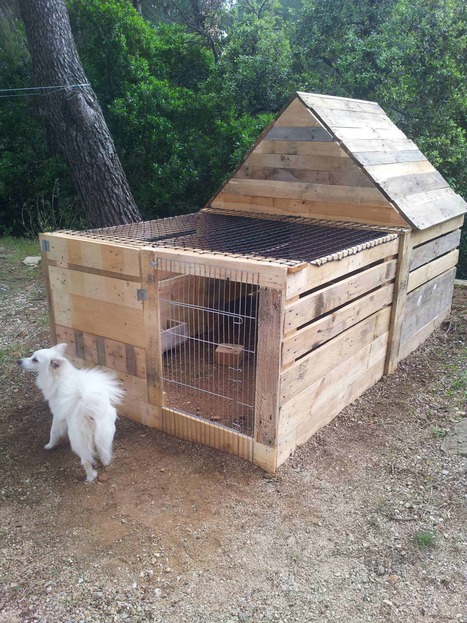 Pallet rabbit outlet cage