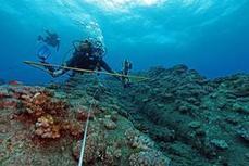 El Niño menace les coraux d'un blanchissement sans précédent | Economie Responsable et Consommation Collaborative | Scoop.it
