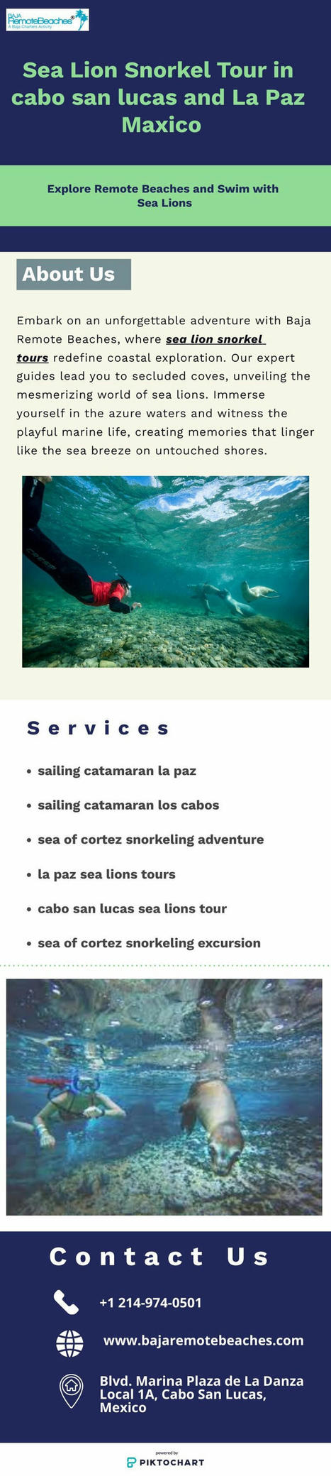 Embark on an Unforgettable Sea Lion Snorkel Tour Adventure | Baja Remote Beaches | sailing catamaran charter | Scoop.it