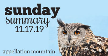 Sunday Summary: Seasonal Names | Name News | Scoop.it