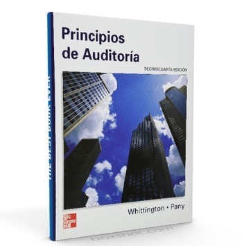 Principios de la auditoria integral