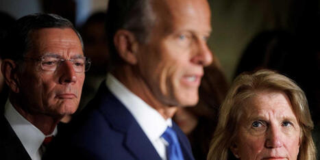 'I hear a sound coming': Ex-Trump official predicts impending GOP mutiny against president - Raw Story | Backstabber Watch | Scoop.it