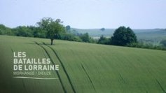 Bourgogne : 14-18 : Les Batailles de Lorraine | Autour du Centenaire 14-18 | Scoop.it