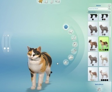 Les Sims 4 Chiens et Chats : Rediffusion du Live Broadcast du 12 octobre & Infos << The Daily Sims | Les Sims | Scoop.it