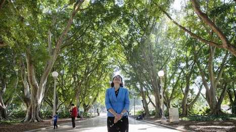 Sydney to be cooled by an extra five million trees by 2030 | Stage 5  Changing Places | Scoop.it