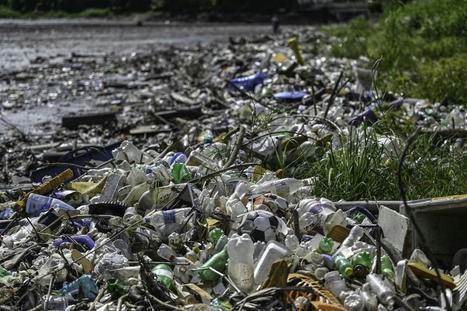 Coca-Cola, sponsor de la COP27 et « champion du monde » de la pollution plastique | Toxique, soyons vigilant ! | Scoop.it