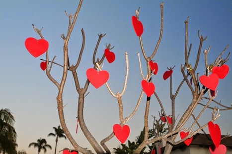 Saint-Valentin, idées d'activités à faire avec les enfants: arbre, coeur et bougie | Fête des mères 2015,; Saint-Valentin, Harmonie, amour, santé au naturel | Scoop.it