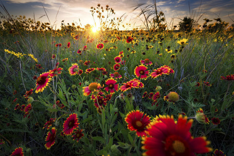 14 Tiny Texas Towns That Are Totally Worth The Trip | Housing and Lodging | Scoop.it