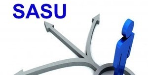 Quel intérêt de choisir la SASU plutôt que l'EURL, l'EI ou l'EIRL ? | SAS-SASU-SELAS | Scoop.it