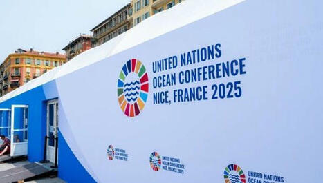 Claire Nouvian, envoyée spéciale de la TAC au sommet de l'ONU sur les océans. | “C’est le moment de réunir les intelligences” Laurence Tubiana | Scoop.it