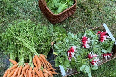 10 mai au Grand-Pressigny : Le Petit Jardin dans la Prairie en fête | Revue de presse économique du Sud Touraine | Scoop.it