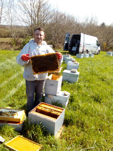 L'apiculture connect&eacute;e - Agri demain | Pour innover en agriculture | Scoop.it