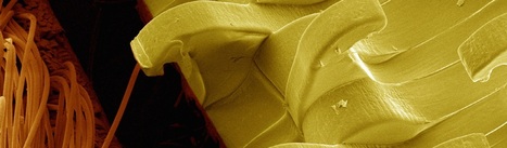 Des composites intelligents aux proc&eacute;d&eacute;s hybrides, les nouvelles ruptures mat&eacute;riaux se pr&eacute;parent | ENSAIT DOC | Scoop.it