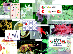 Concepts and technologies for tracking bioactive compounds in natural product extracts: generation of libraries, and hyphenation of analytical processes with bioassays | Natural Products Chemistry Breaking News | Scoop.it