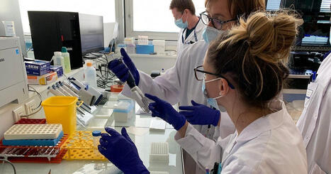 "Il faut leur donner envie de travailler ici" : 338 m&eacute;decins internes recrut&eacute;s en Centre-Val de Loire&nbsp; | Revue de presse &eacute;conomique du Sud Touraine | Scoop.it