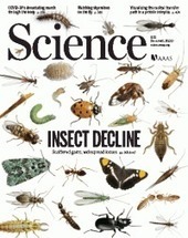 A rampage through the body | Science | Wuhan, Hubei | Scoop.it