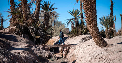 The impact of climate variability on MOROCCO&rsquo;s agriculture | CIHEAM Press Review | Scoop.it