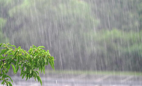 West Virginia City Sees Double Average Rainfall Amid Fatal Floods - Newsweek | Operation Deimos | Scoop.it