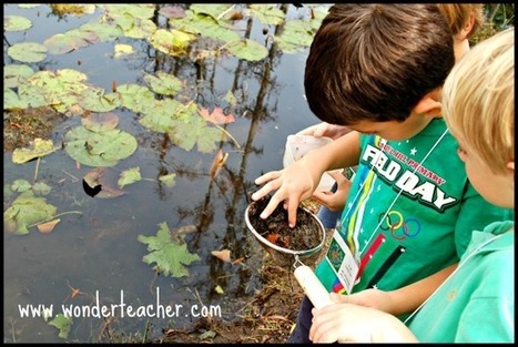 7 Ideas for Replacing Worksheets with Wonder | Critical and Creative Thinking for active learning | Scoop.it