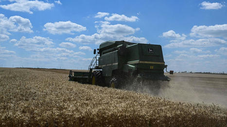 Guerre en Ukraine : les ports ukrainiens ont repris le transport de céréales - rtbf.be | Agriculture et Alimentation Durable Méditerranéenne | Scoop.it