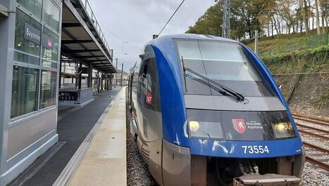Trains supprim&eacute;s &agrave; Bayonne&nbsp;: les cheminots du service &eacute;lectrique de la SNCF en gr&egrave;ve pour plus de reconnaissance - ICI | BABinfo Pays Basque | Scoop.it