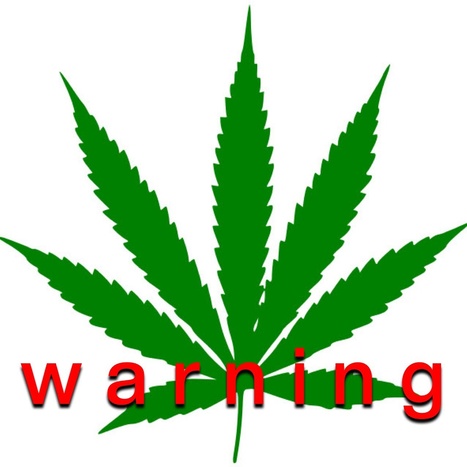 Kurzweil : "Be carefull | Brain abnormalities linked to casual marijuana use | Ce monde à inventer ! | Scoop.it