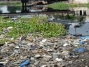 Abidjan : Pollution de la lagune a Anoumambo, une menace pour les riverains | Zones humides - Ramsar - Océans | Scoop.it