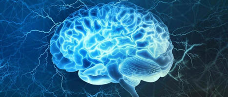 Neurological Treatments For The Brain | Part 2 | Call: 915-850-0900 | The Gut "Connections to Health & Disease" | Scoop.it