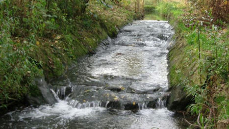Dans le Val-d'Oise, la renaturation des cours d'eau progresse | Environnement, paysage et biodiversité | Scoop.it