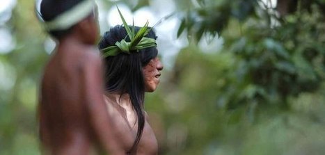Amazon Tribe Creates 500-Page Remarkable Natural Medicine Encyclopedia | Peer2Politics | Scoop.it