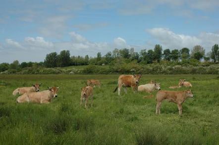 "Zones humides et agriculture, cultivons le partenariat !" | Milieux humides | Paysage - Agriculture | Scoop.it