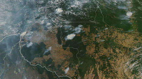El Amazonas arde a velocidad de vértigo: los incendios aumentan un 83% en 2019 | Ordenación del Territorio | Scoop.it