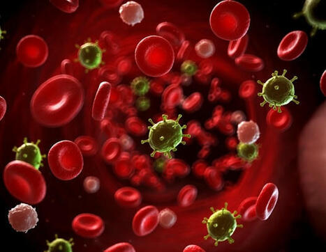 Researchers develop a reverse genetics system for African swine fever virus | Genetic Engineering in the Press by GEG | Scoop.it