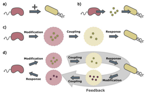 Microbial interactions as modular: Implications for ecosystem dynamics and evolution | RMH | Scoop.it
