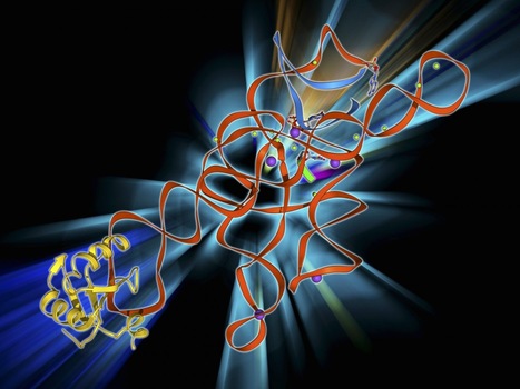 mRNA trans-splicing dual AAV vectors for (epi)genome editing and gene therapy | Nature Communications | Vectorology - GEG Tech top picks | Scoop.it