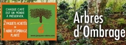 Brève : Achetez du café pour boiser la Colombie | Economie Responsable et Consommation Collaborative | Scoop.it