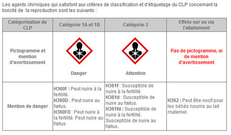 Grossesse In Prévention Du Risque Chimique Scoopit