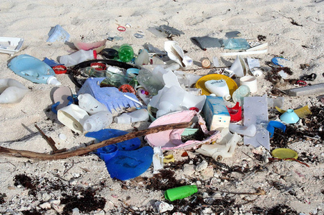 Australian waters polluted by harmful tiny plastics | Stage 4 Water in the World | Scoop.it