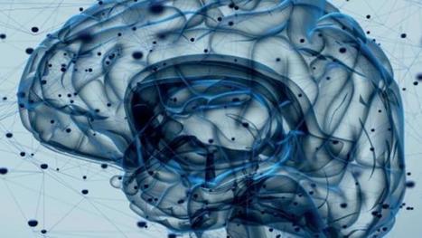 Intelligence artificielle: premiers usages, premi&egrave;res le&ccedil;ons | Intelligence Artificielle G&eacute;n&eacute;rative - IA G&eacute;n&eacute;rative - IA Gen | Scoop.it