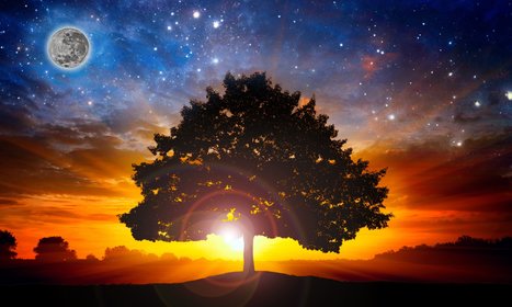 30 traits of an Empath (How to know if you&rsquo;re an Empath) | Empaths | Scoop.it