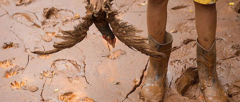 Le Br&eacute;sil face &agrave; la pire catastrophe &eacute;cologique de son histoire / www.lepoint.fr du 22.11.2015 | Pollution accidentelle des eaux par produits chimiques | Scoop.it