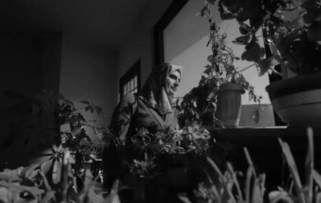 Global Response Platform | Race and diversity | Scoop.it