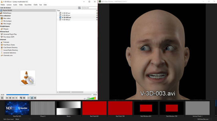Mise &agrave; jour du Newtek NDI en version 3.5 | LeCollagiste | Scoop.it